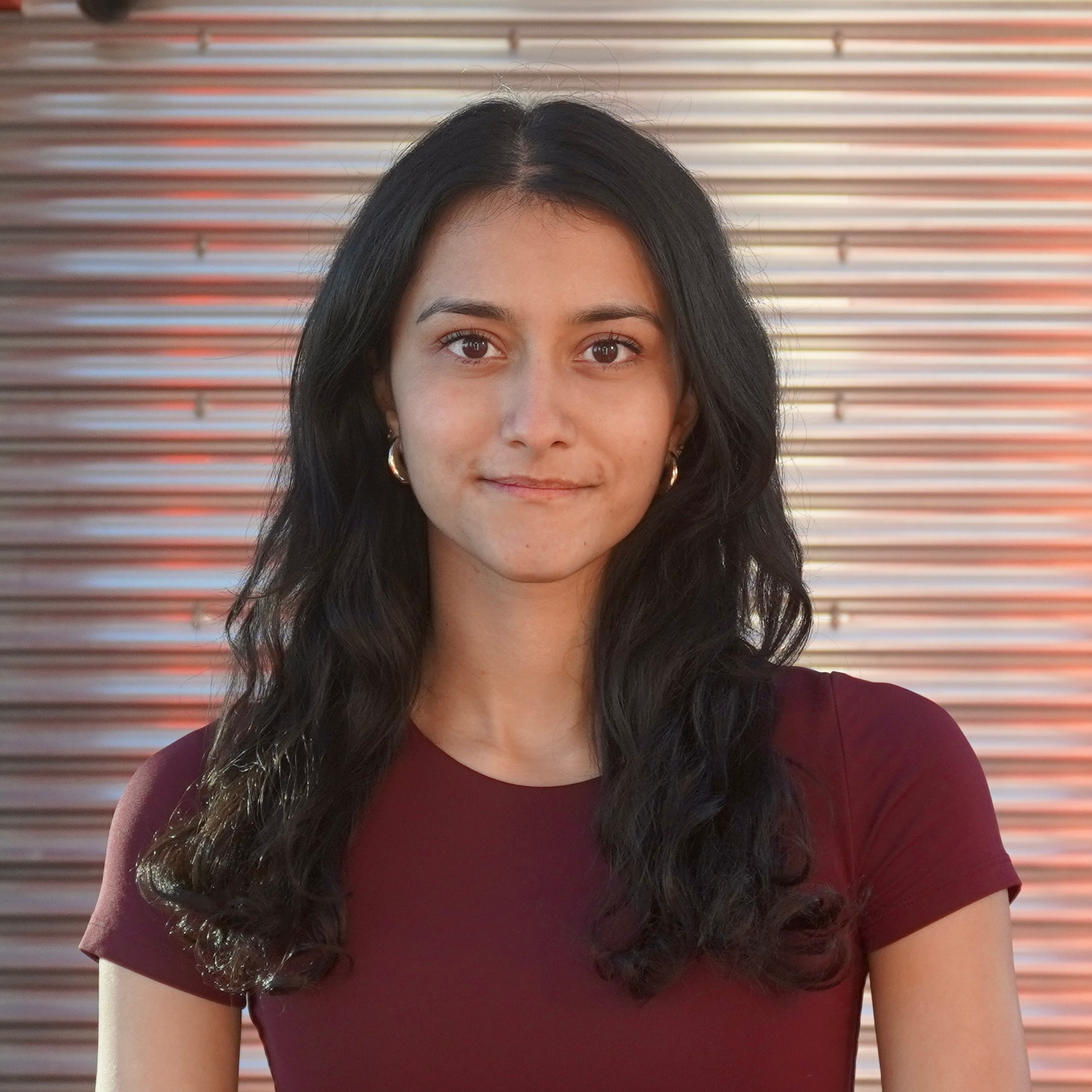 Mehar Mohal